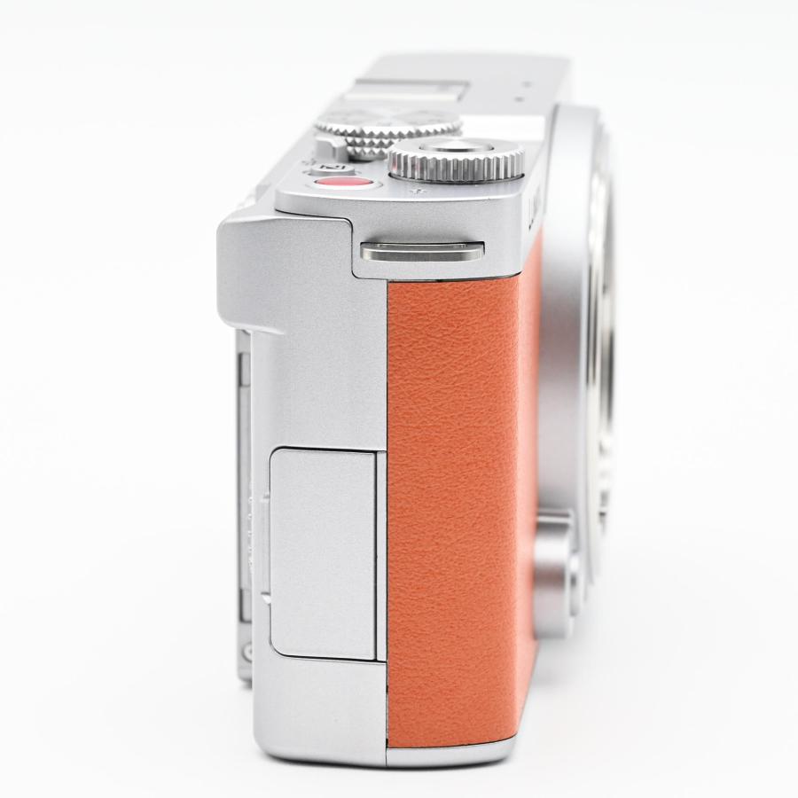 Panasonic LUMIX DC-S9-D ボディ キャメルオレンジ　極上品 Panasonic LUMIX DC-S9-D ボディ キャメルオレンジ 極上品 【公式通販】