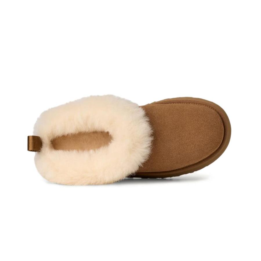 【新品】 UGG TAZZELLE (アグ) 靴 ブラウン 24cm 新品】 UGG TAZZELLE (アグ) 靴 ブラウン 24cm UGG】TAZZELLE