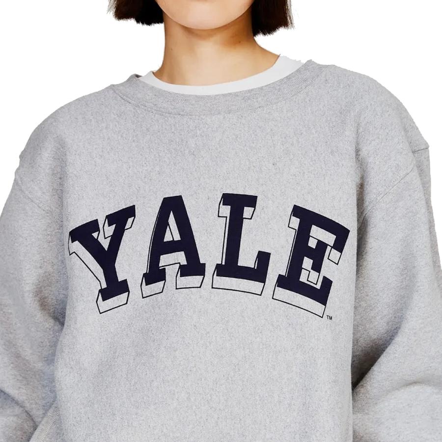 REVERSE WEAVE Champion 12.5oz CREW NECKSWEAT SHIRT MADE IN USA c5