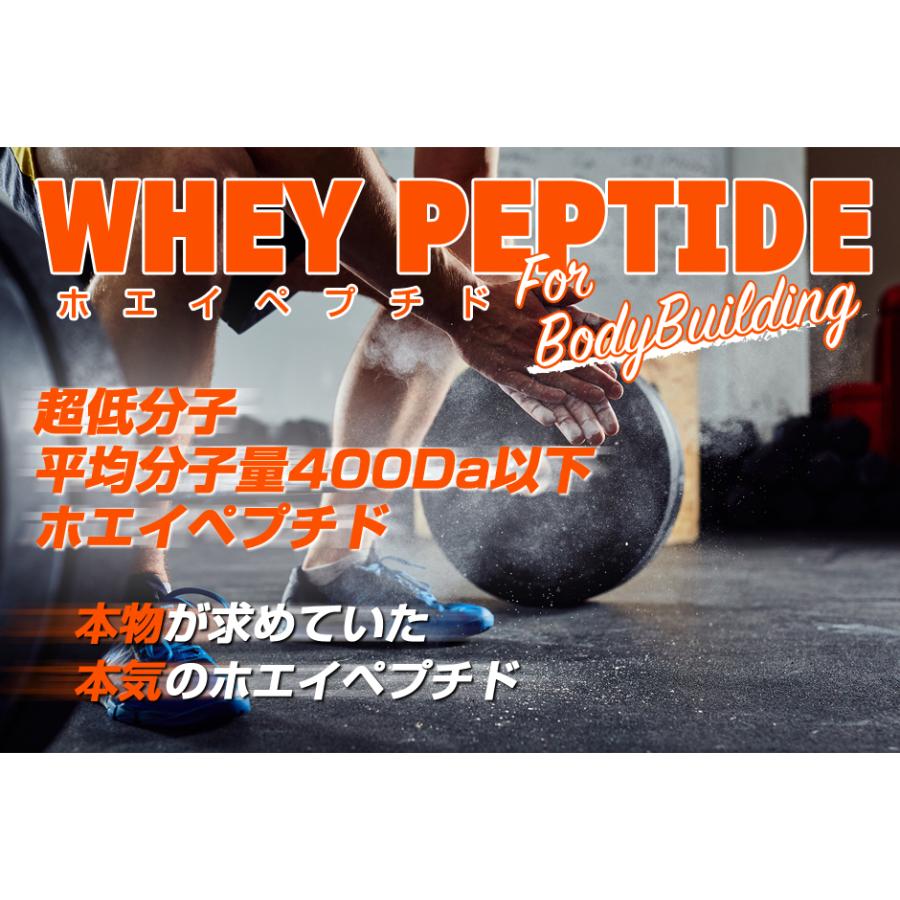 LIMITEST（リミテスト） ホエイペプチドFor BodyBuilding WHEYPEPTIDE
