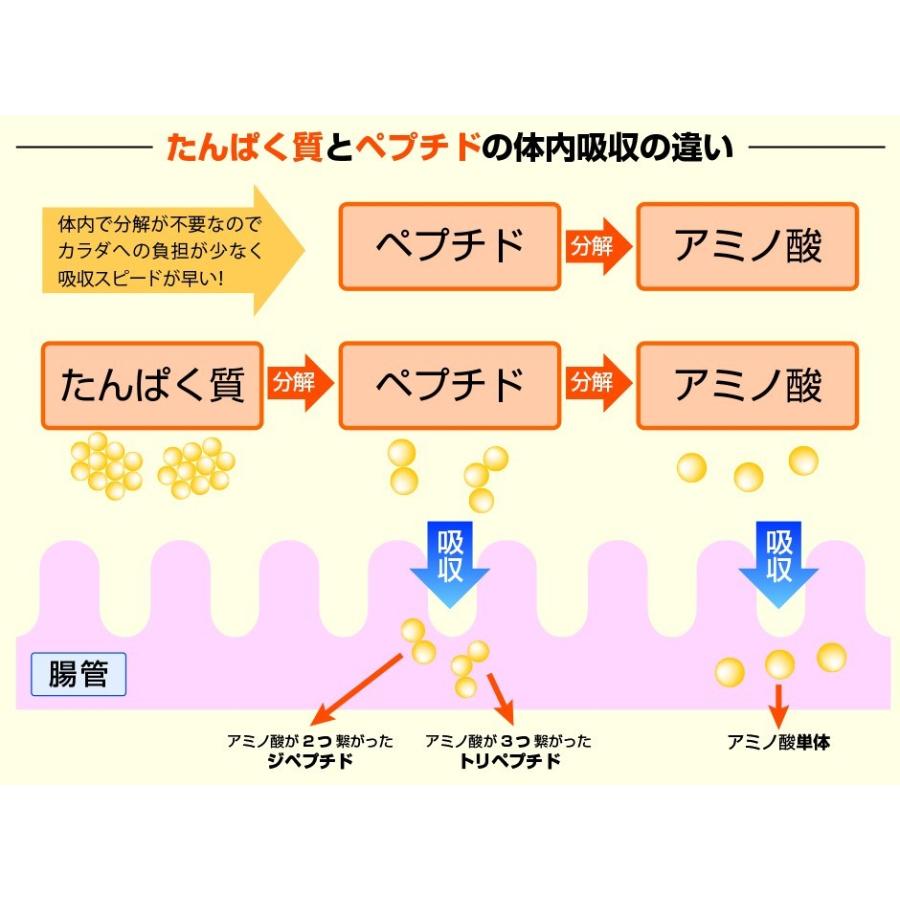 ペプチドマッスル Pec Deck Fly / Rear Delt (Zen) — MSFFIT