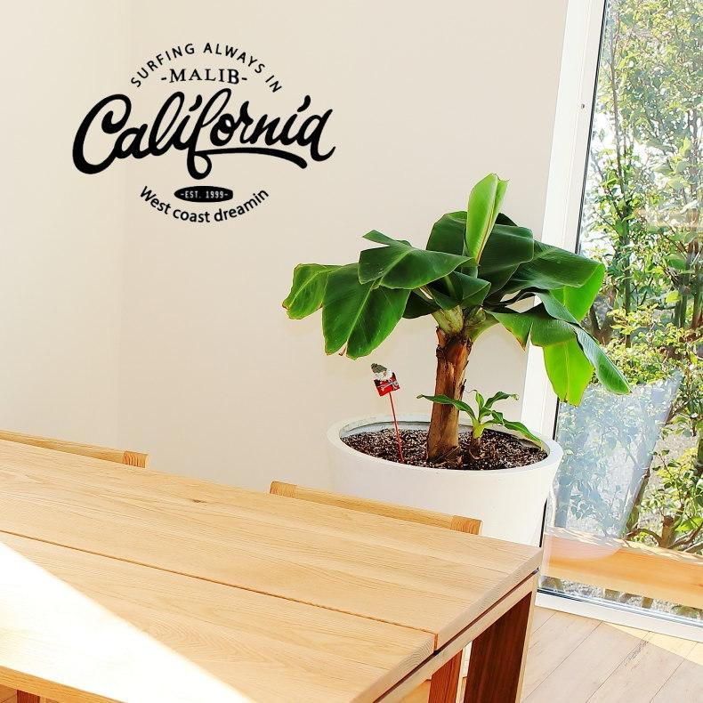 New限定品 ウォールステッカー カリフォルニア Babylonrooftop Com Au