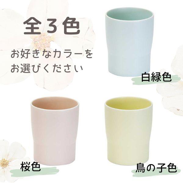 名入れ あわいろ 美濃焼 カップ ギフト ラッピング 付き プレゼント 陶磁器 焼き物 パステル コップ タンブラー 湯飲み 友人 祖父 祖母 親 両親 義両親 感謝 |  | 02