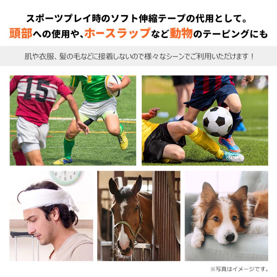 自着式テープ リンドフレックス PRO テーピング 幅75 x 4.6m スポーツ