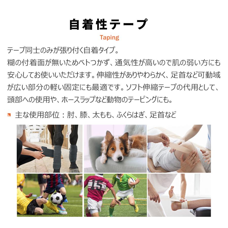 リピバン 幅50mm 75mm ライトタイプの自着式テープ 同色同サイズ1箱 LINDSPORTS リンドスポーツ |  | 13