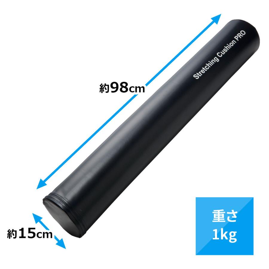 開店記念セール ストレッチングクッション Pro ロング 長さ98cm 少し硬めpro ストレッチ用ポール ヨガポール Lindsports リンドスポーツ Wantannas Go Id