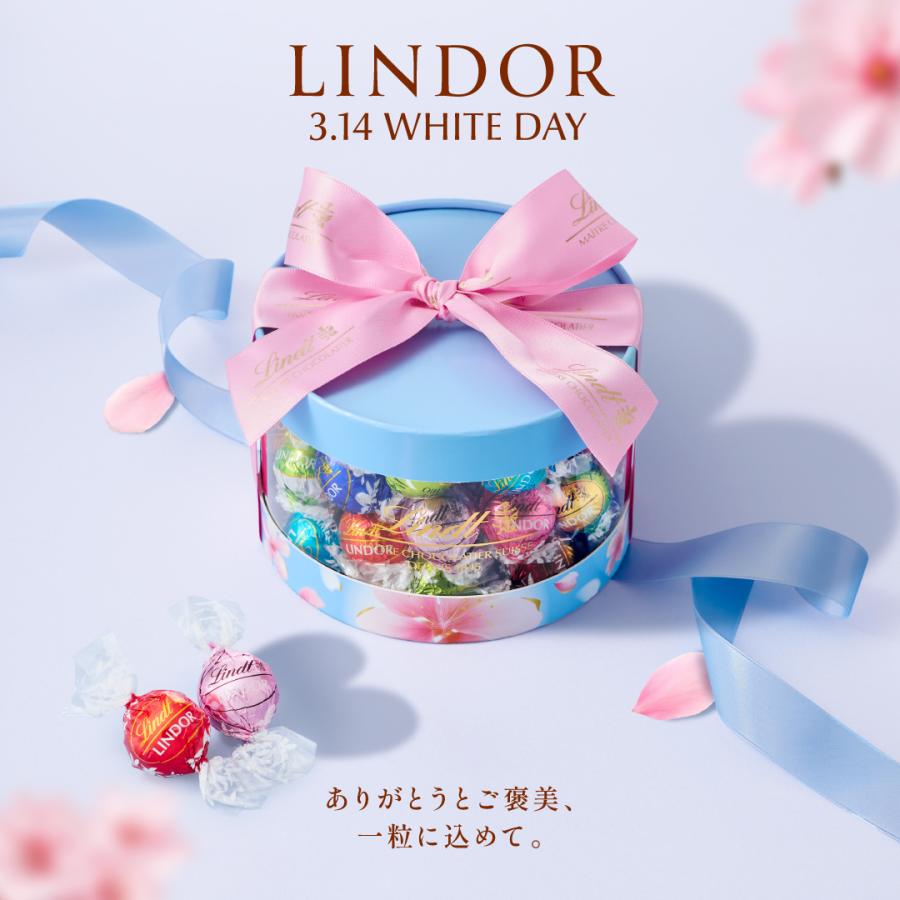 リンツ（Lindt） チョコレート リンドールバッグ バレンタイン 6個入