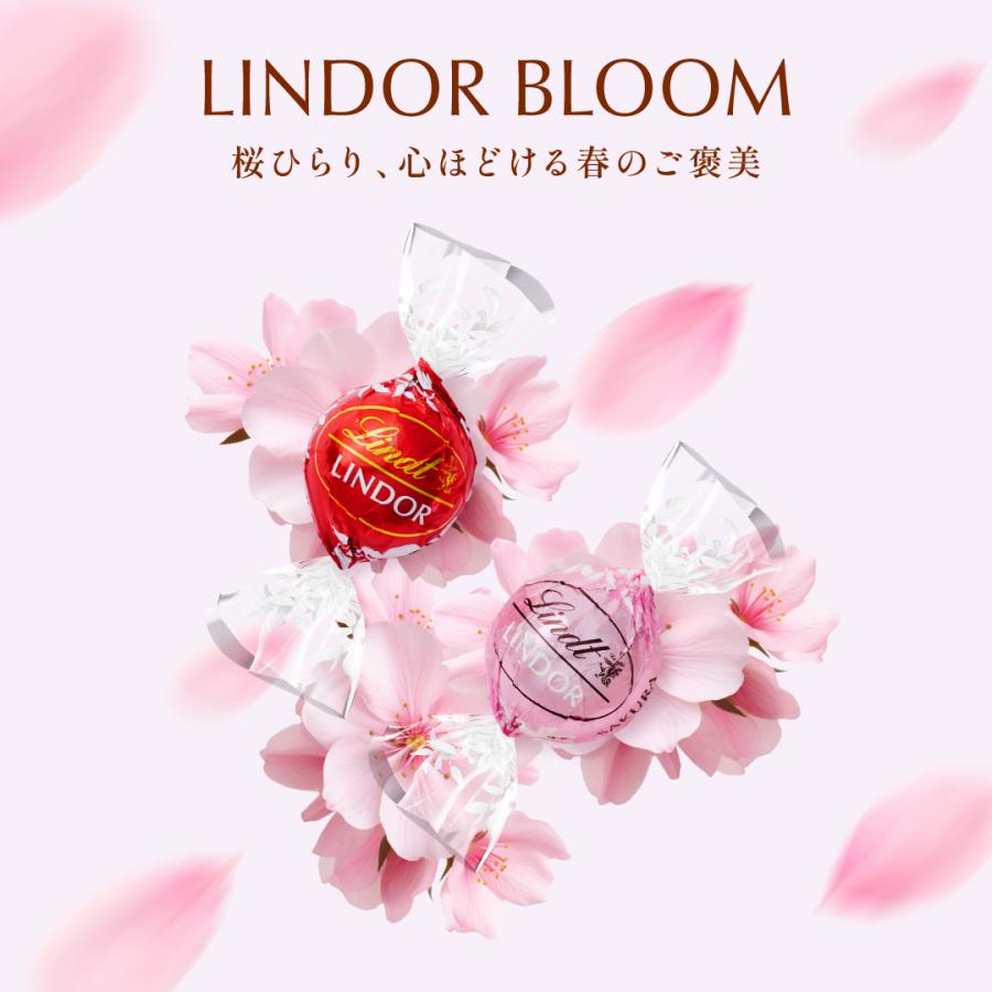 リンツ（Lindt） チョコレート リンドールバッグ バレンタイン 6個入