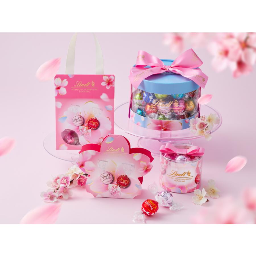 リンツ（Lindt） チョコレート リンドールバッグ バレンタイン 6個入