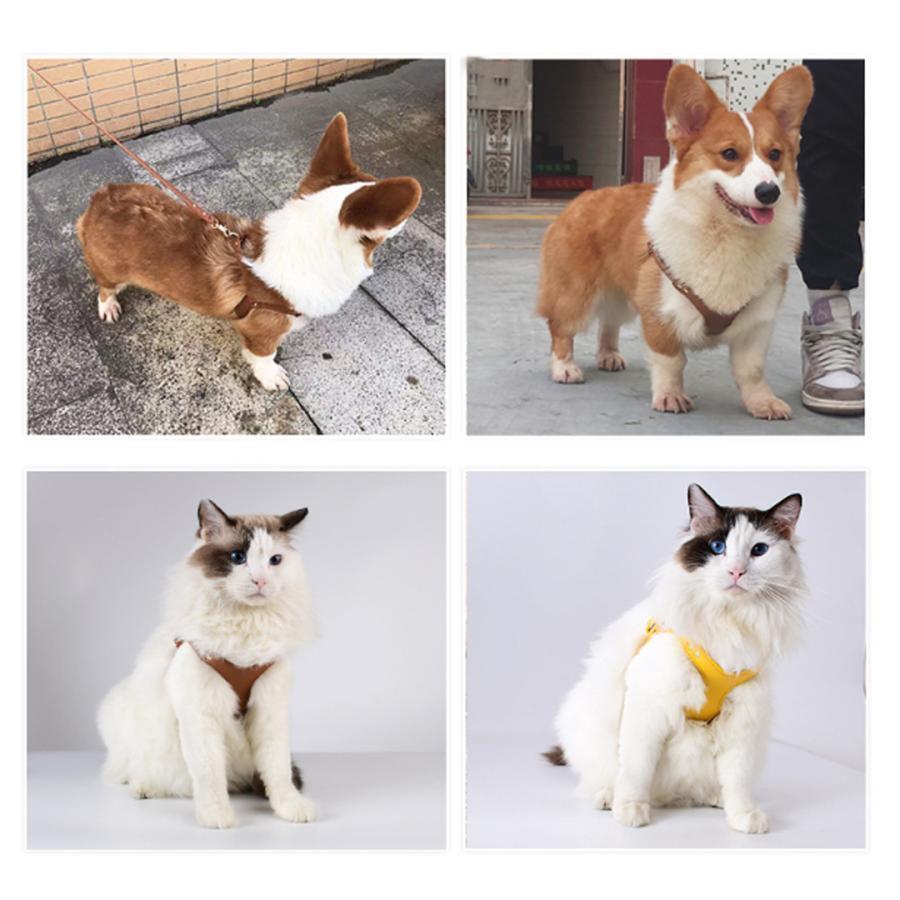 犬用ハーネス 八の字 メガネ型 ウォータープルーフ 柔らかい胴輪で小型?中型犬猫に対応 おしゃれで安心 リード付き散歩のフィット調整術 |  | 16