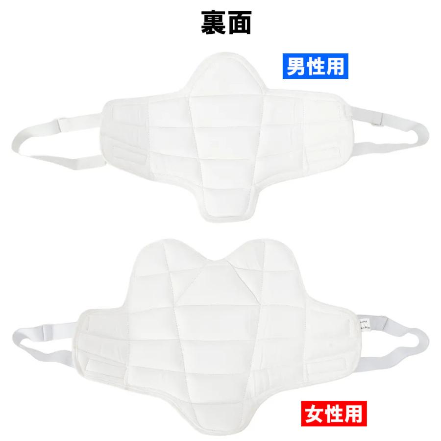 サイズ交換送料無料】全日本空手道連盟検定品 胴プロテクター