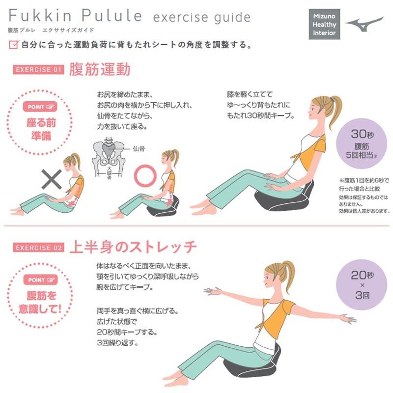 MIZUNO（ミズノ） 腹筋プルレ エクササイズ トレーニング フィットネス