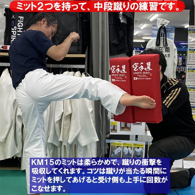空手道 キックミットソフトタイプ 500g 日本製 赤 ライナースポーツオリジナル |  | 06
