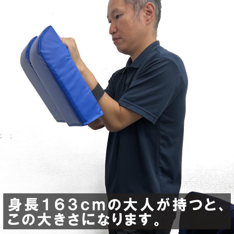 マーシャルワールド 両手2個セット 空手 キックミットミニ 子供