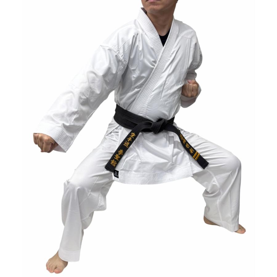 【サイズ交換送料無料】空手着 空手衣 上下セット 超軽量モデル メッシュ搭載 通気性が良い 1年保証 伝統派 ライナースポーツオリジナル LSALI060 |  | 03