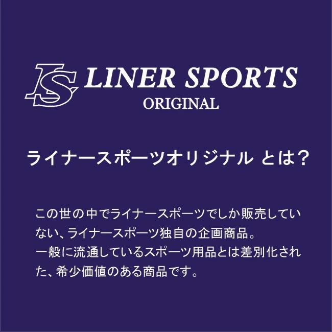 空手 ボディプロテクター 胴プロテクター ライナースポーツオリジナル 1年保証 練習用 胸部 保護 胸当て 防具 大人 子供 LSALI083 |  | 14
