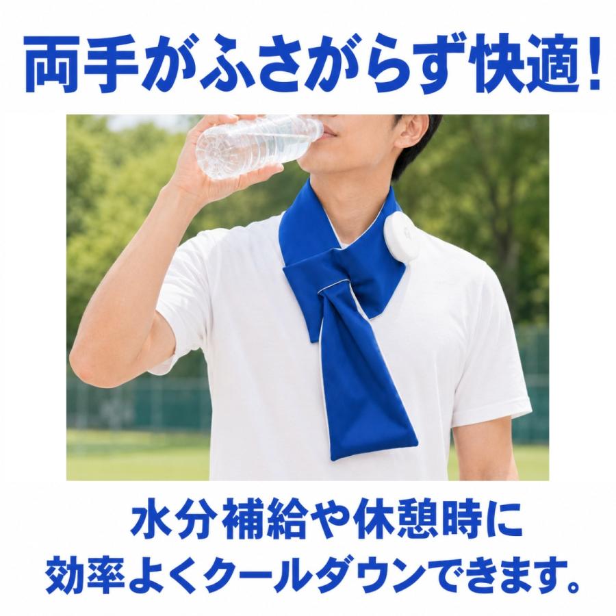 巻ける氷のう 野球 アイスバッグ 首 氷 ネッククーラー 冷却 結露しにくい 大口径 暑さ対策 熱中症対策 ハンズフリー スポーツ観戦 アウトドア 1年保証 LSALI093 |  | 05