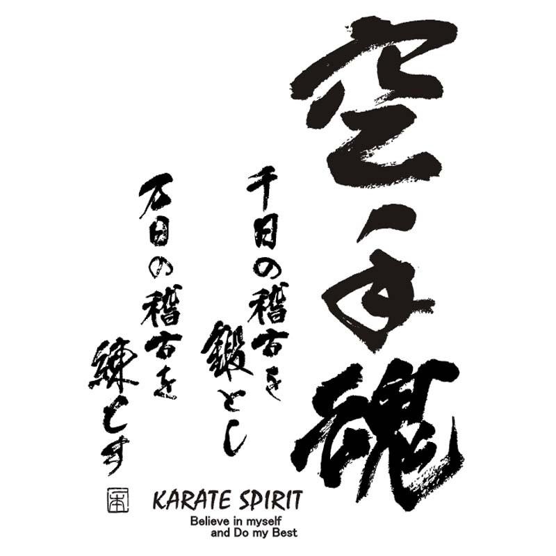 空手 ステンレスボトル 500ml ステンレス真空二重構造 ライナースポーツオリジナル 空手道 空手魂 水筒 直飲み 入り 保温 保冷 HOT COLD LSBTL003|liner|11