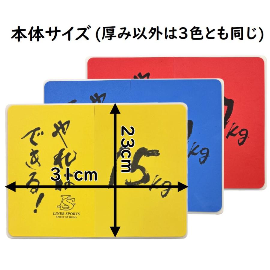 2枚セット】何度でも割れる板 空手 試割り板 練習用 1年保証 3種類の