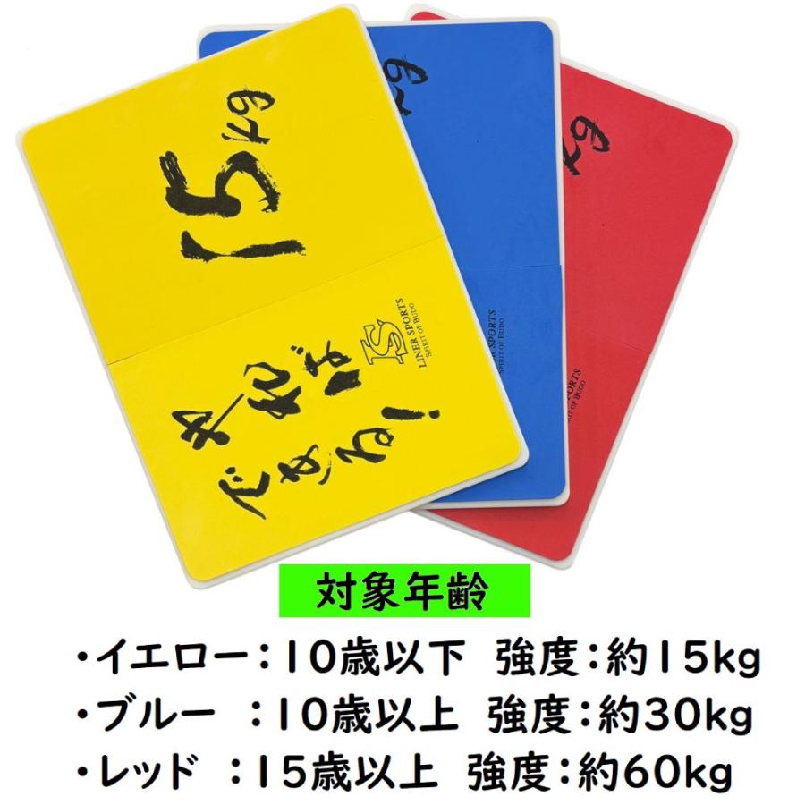 3枚セット】何度でも割れる板 空手 試割り板 練習用 1年保証 強度が3