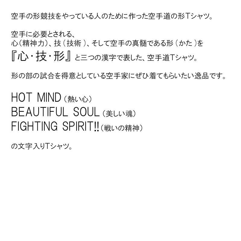 2個注文で送料無料 空手Ｔシャツ 『心技形』 前面プリント ライナースポーツオリジナル 130 140 150 S M L LL 3L |  | 06