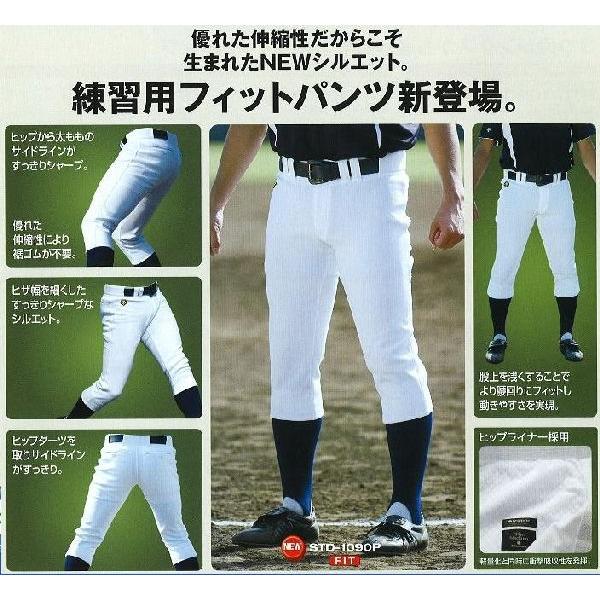 デサント 野球 練習用ユニフォームパンツ セミロングfitパンツ Std1070p ライナースポーツ 通販 Yahoo ショッピング