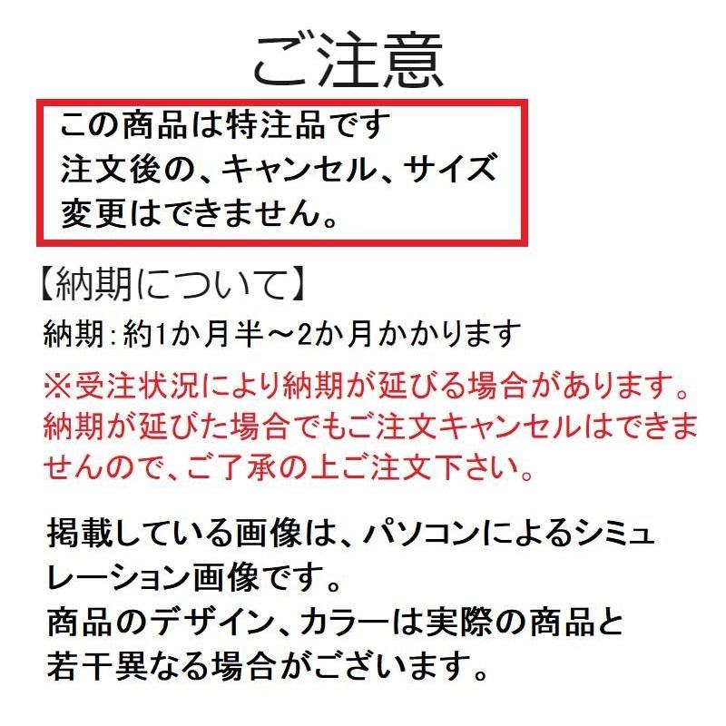 MIZUNO ミズノ ボクシングシューズ イージースペクトラ 02パール MIZUNO ミズノ ボクシングシューズ イージースペクトラ 02パール