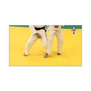 「投げ」動作の習得 DVD 3枚セット DVD-TN3-10CL【DVDトールケース（3枚収納・10枚セット・クリア