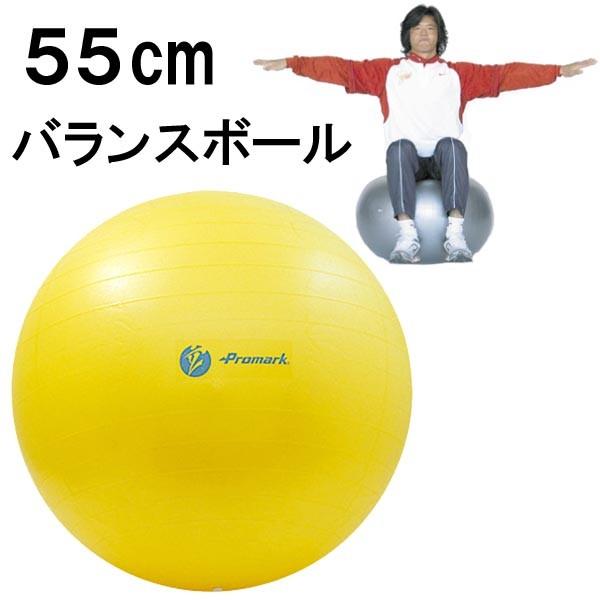 バランスボール 55cm 適用身長 150 170cm 体幹 筋トレ ダイエット ノンバースト ポンプ 空気入れ 付 プロマーク Promark Tpt0251 Tpt0251 ライナースポーツ 通販 Yahoo ショッピング