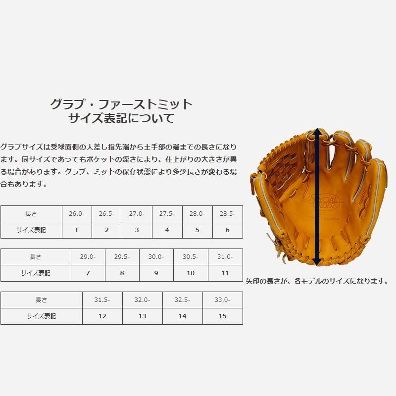 ワールドペガサス（WORLD PEGASUS） 野球 硬式用トレーニンググラブ