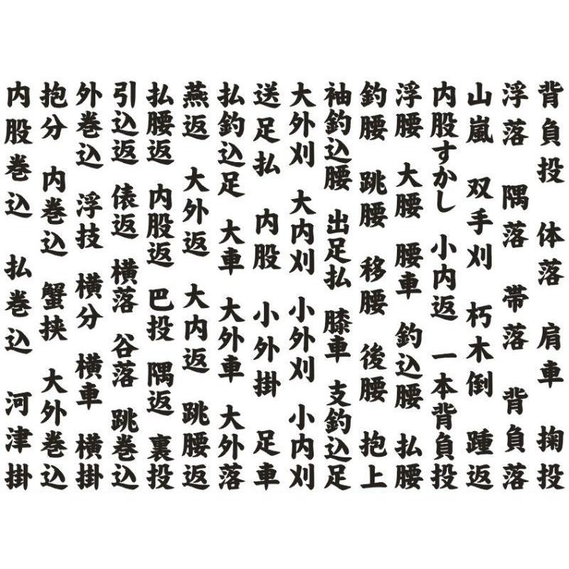 こだわりの国産 柔道『柔人』湯のみ!!柔道の投げ技名『６７本』が書かれた限定『柔人』湯呑み!!こだわりの美濃焼き 湯のみです!! |  | 02