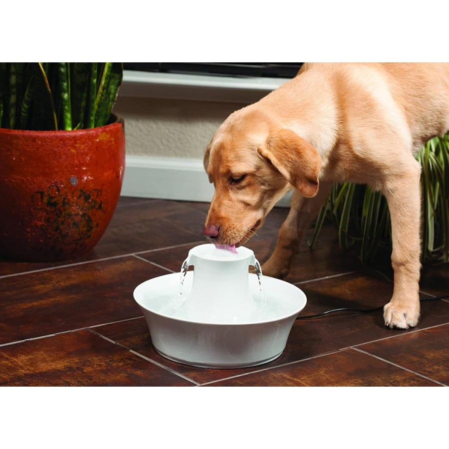 最新 愛猫愛犬用 ペットファウンテン セラミック アバロン 自動給水器ドリンクウェル Petsafe フィルター ポンプ ろ材 Rideshare2vote Com