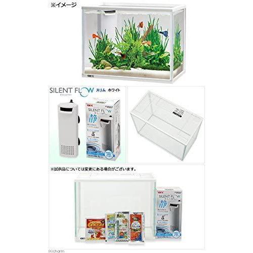 祝日 ジェックス サイレントフィット300 水槽セット 静音 省電力フィルター付 Shipsctc Org