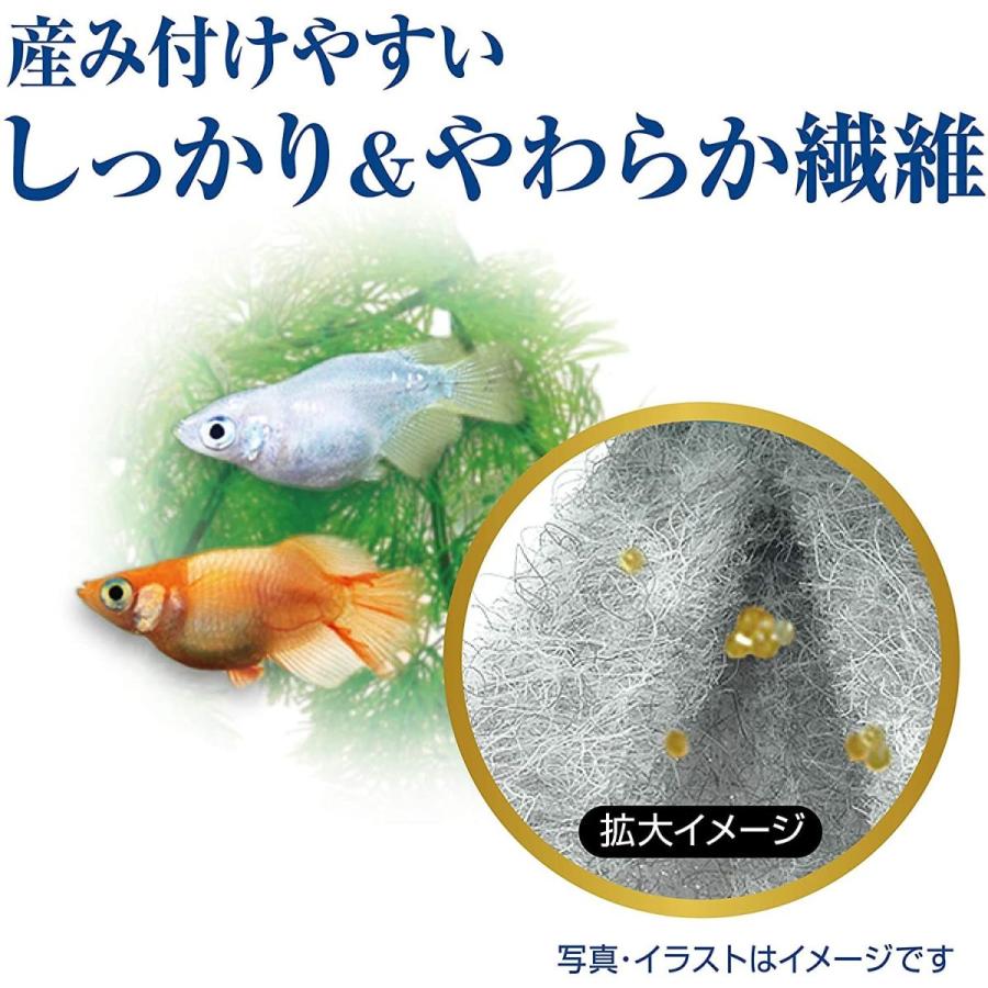 ジェックス メダカ元気 卵のお守り産卵床沈める2個入り 特殊繊維 数々のアワードを受賞 卵のカビ発生防止