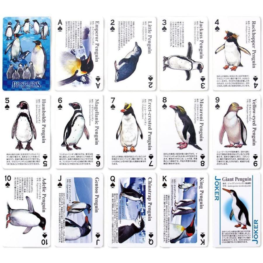 カロラータ トランプ ペンギンクイズ付 プラスチック製 動物 知育ゲーム リアルペンギントランプ Line Store 通販 Yahoo ショッピング