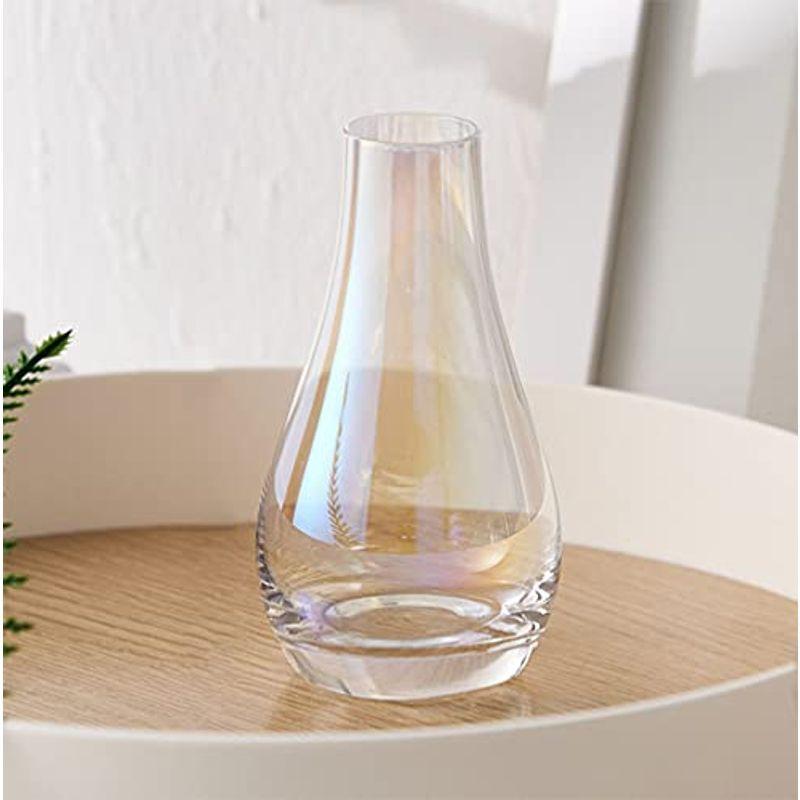 格安激安 ガラス 花瓶ミニ 花器 一輪挿し フラワーベース ガラスベース ガラスボトル おしゃれ インテリア 水栽培 アレンジ 生け花 造花 シンプル Dzieciwojny Pl
