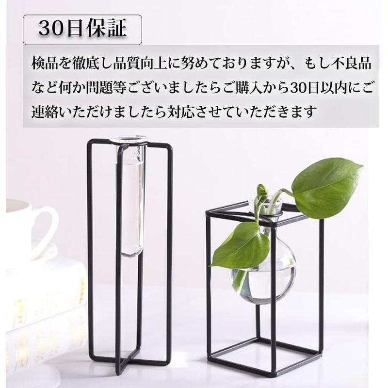 エアプランツ グラスボールスタンド エアプランツ1個 天然石付 ふるさと割