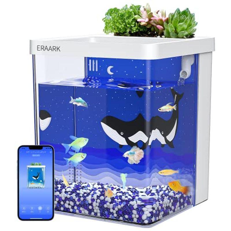 Eraarkミニ水槽 アクアリウム 小型 ベタ水槽セット 熱帯魚 メダカ飼育セット 金魚鉢 Bluetoothに対応したスマートな水槽 Le Line Store 通販 Yahoo ショッピング