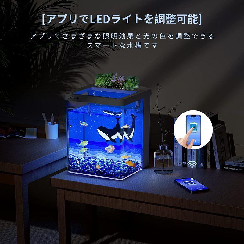 Eraarkミニ水槽 アクアリウム 小型 ベタ水槽セット 熱帯魚 メダカ飼育セット 金魚鉢 Bluetoothに対応したスマートな水槽 Le Line Store 通販 Yahoo ショッピング
