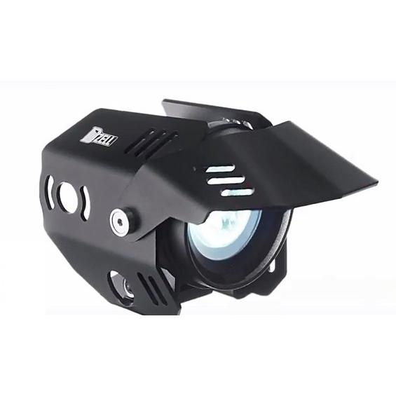 Bucephalandra Kishii Kayulapis2 wave leaf Kalimantan barat【TB