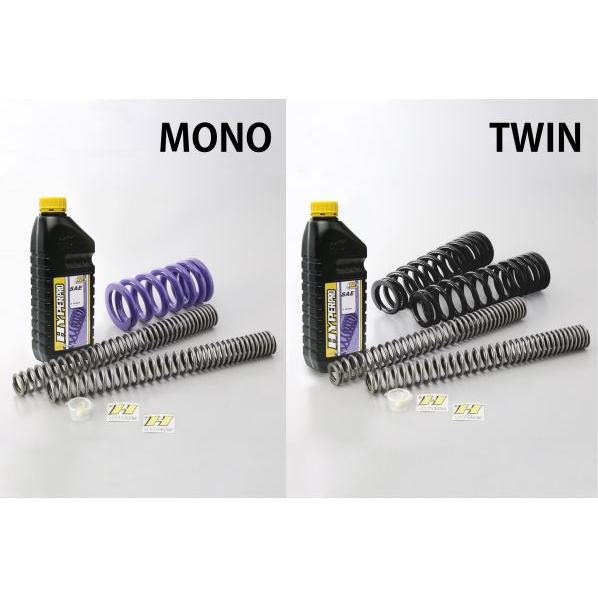 VTR250 ローダウンスプリング 22015232 コンビKIT[22015230+22015232](ローダウンタイプ:約-20〜25mm