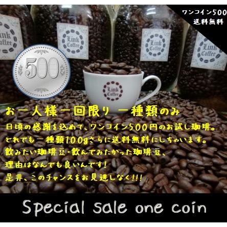 コーヒー豆 コーヒー 豆 100g 珈琲豆 お一人一回限り ワンコイン 