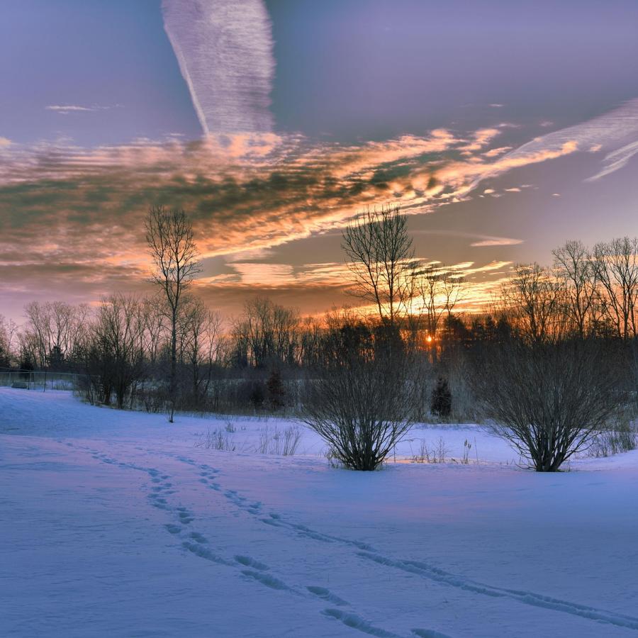 コーヒー豆 コーヒー 珈琲豆 12.1月限定 送料無料 期間限定 コーヒー豆 200g ウィンターブレンド 自家焙煎 | 