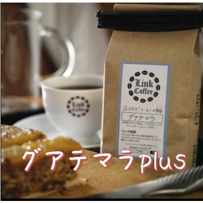 <グアテマラplus> コーヒー 豆 コーヒー豆 珈琲豆 酸っぱくない200g 自家焙煎 苦味 甘味 珈琲 ドリップ　送料無料 | 