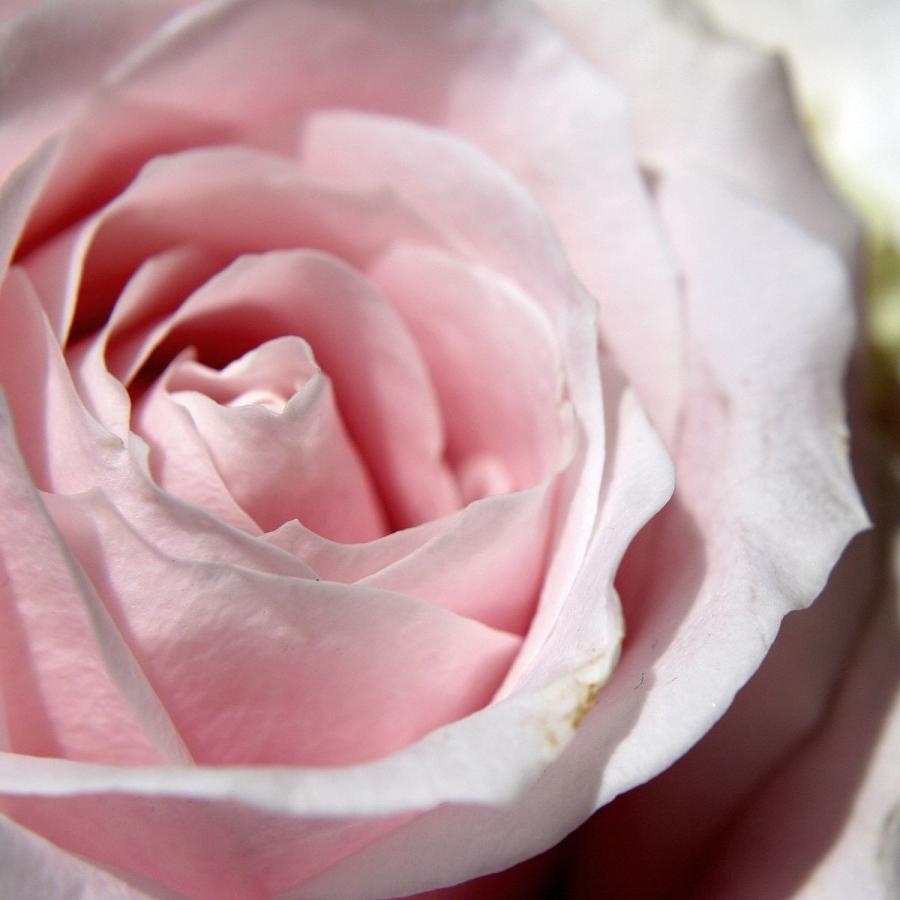 コーヒー豆 コーヒー 豆 珈琲豆 送料無料 コーヒー豆 200g <コロンビア>  自家焙煎 ドリップコーヒー |  | 02