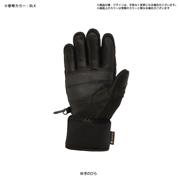 DESCENTE（デサント） 2023-24 GLOVE（グローブ）DWBWJD66【スキー