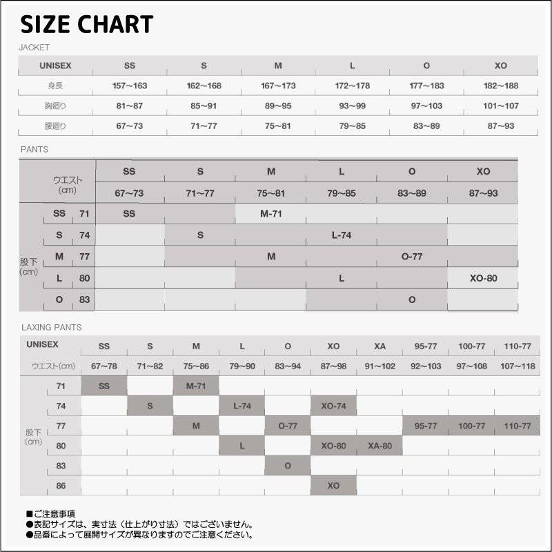 DESCENTE（デサント） 21-22 【スキーパンツ/在庫処分品】 LAXING