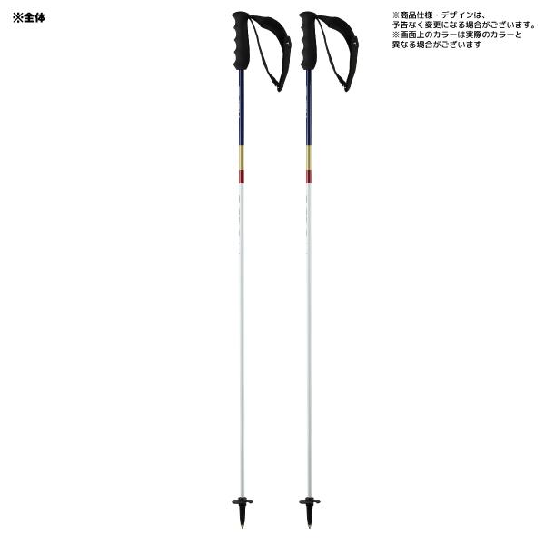 HEAD 2023-24 HEAD(ヘッド)PORSCHE CARBON(ポルシェカーボン HEAD 2023-24 HEAD(ヘッド)PORSCHE CARBON(ポルシェカーボン