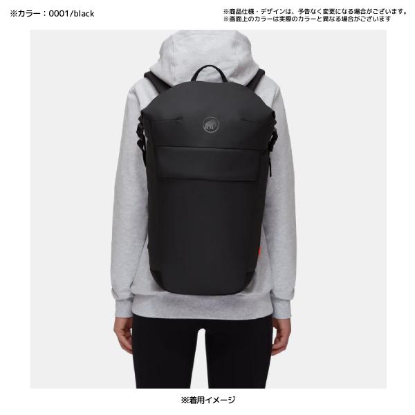 MAMMUT（マムート） Seon Courier 20（セオン クーリエ 20）2510-04250 