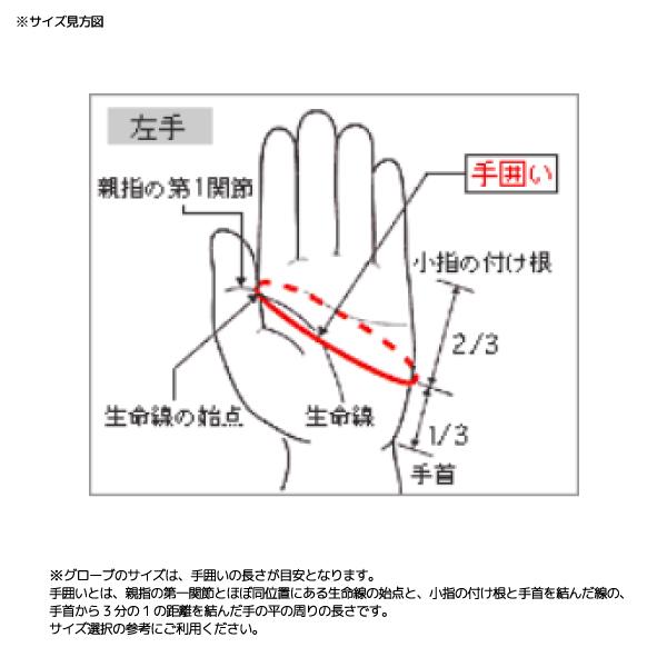 MIZUNO（ミズノ） 2026-27 Leather 3Finger Gloves（レザー 3